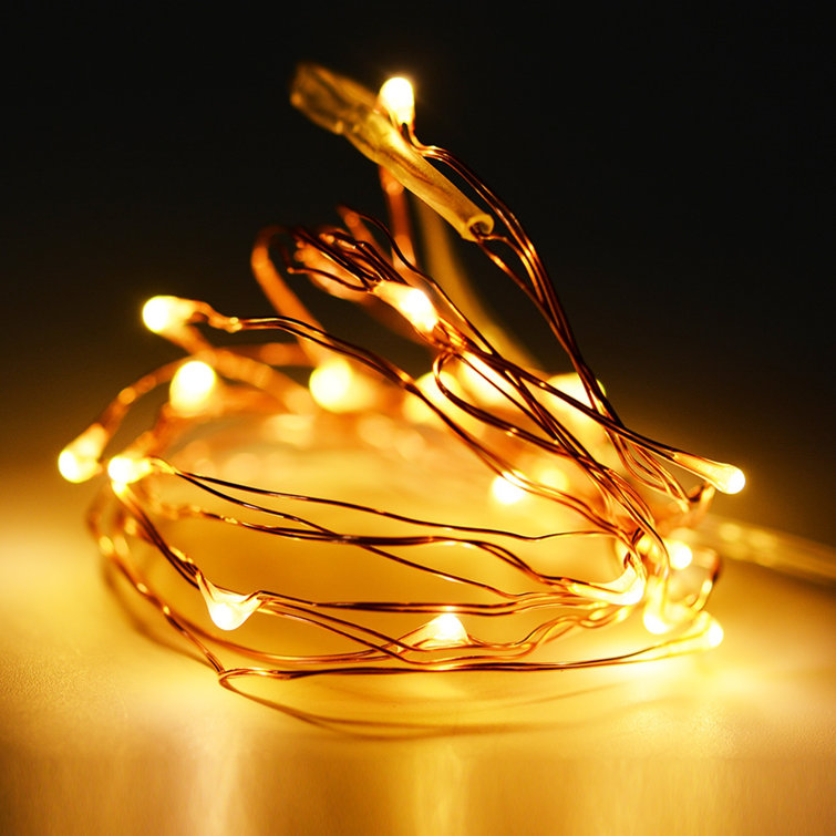 The Holiday Aisle® LED String Lights & Reviews Wayfair